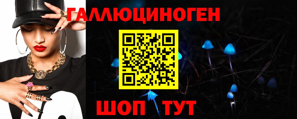Ишимбай  Галлюциногенные грибы MAGIC MUSHROOMS  Псилоцибиновые грибы Psilocybe  Вход с VPN 